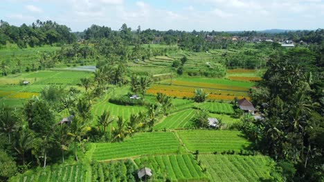 4K-Drohnenaufnahmen-Aus-Der-Luft:-Faszinierende-Landschaft-Von-Ubud