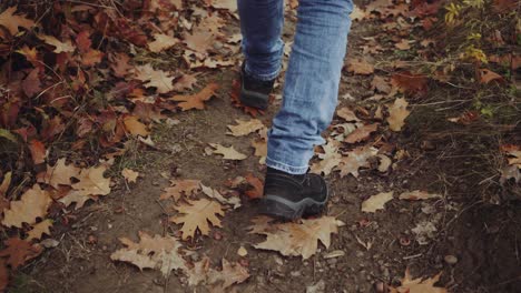 male tourist in the forest. young tourist walking by the forest in nature