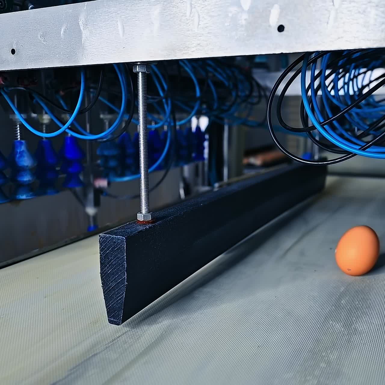 Egg selection on egg production factory. Industrial equipment for sorting eggs. Modern technology for eggs production