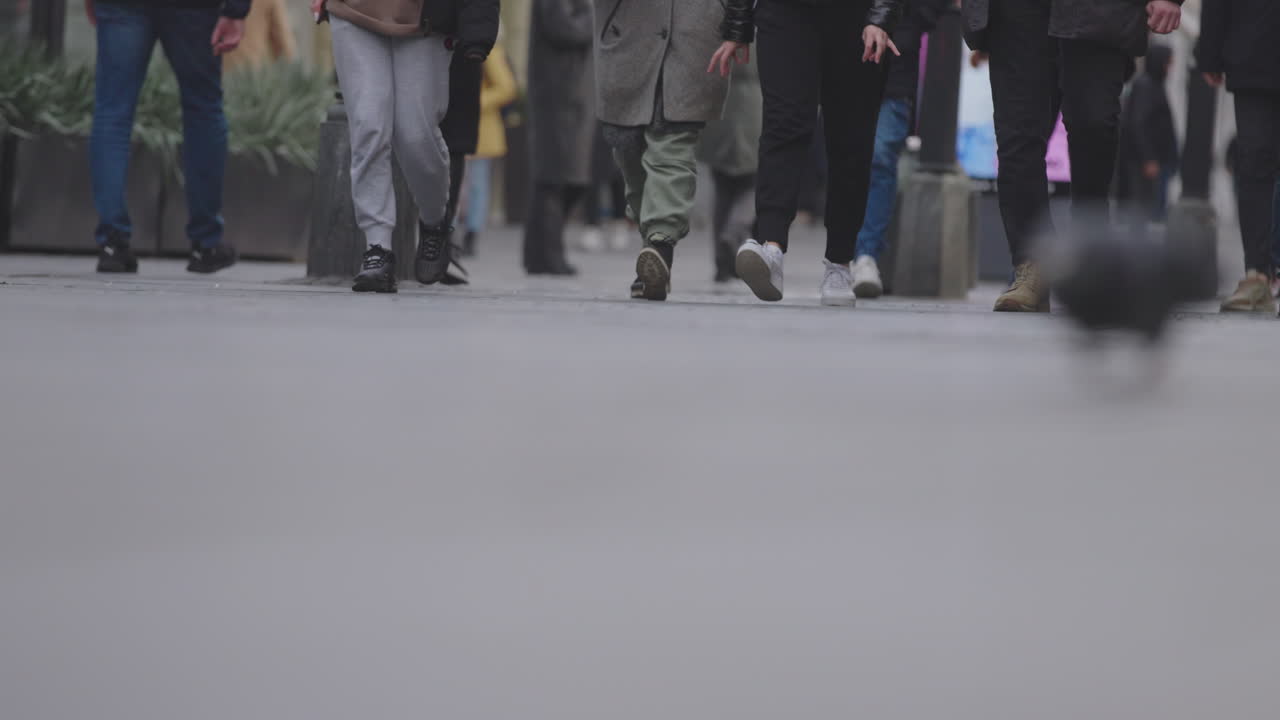 도시 거리 장면