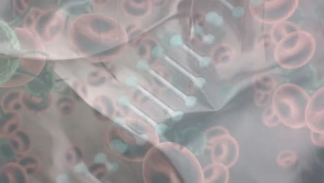animación de células virales y células sanguíneas sobre el adn en fondo beige
