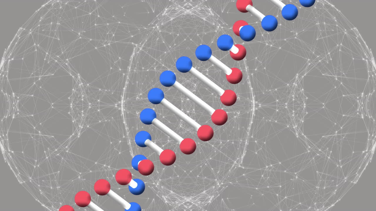 Animazione di filamento di DNA su globo di connessioni su sfondo grigio