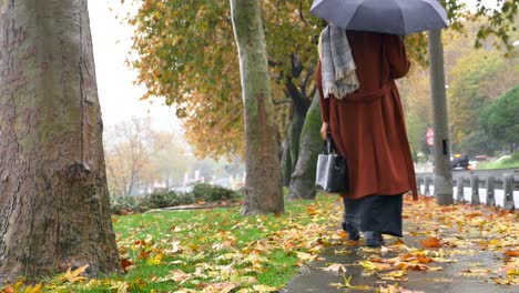 woman walking down a street in the rain on a fall day