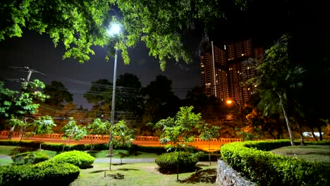 night time lapse in pattaya public garden