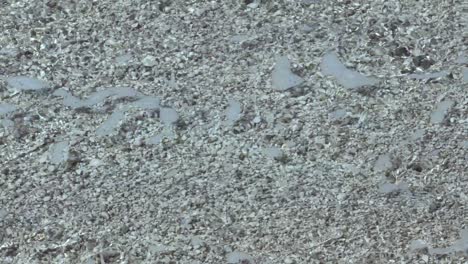 clean seawater washing white sand with small pebbles texture and waving on calm beach in mediterranean