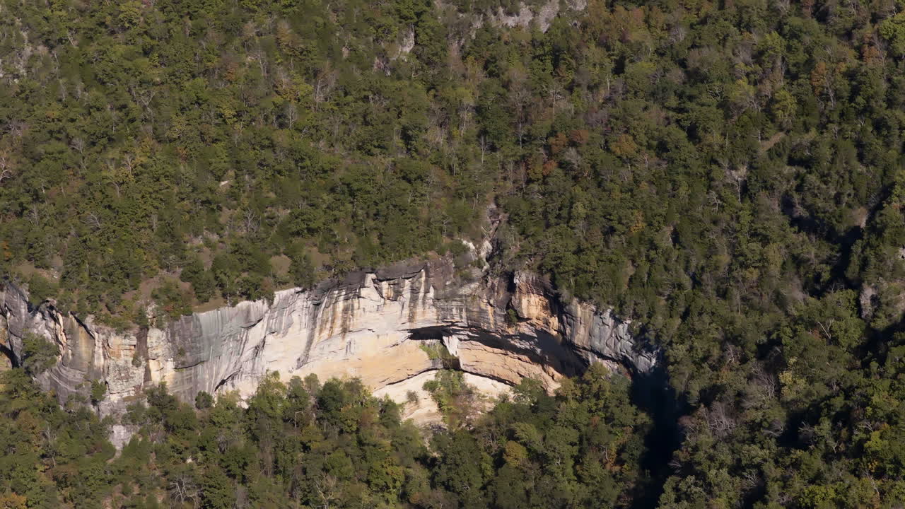 Vista aerea panoramica di una fitta foresta e di una maestosa scogliera