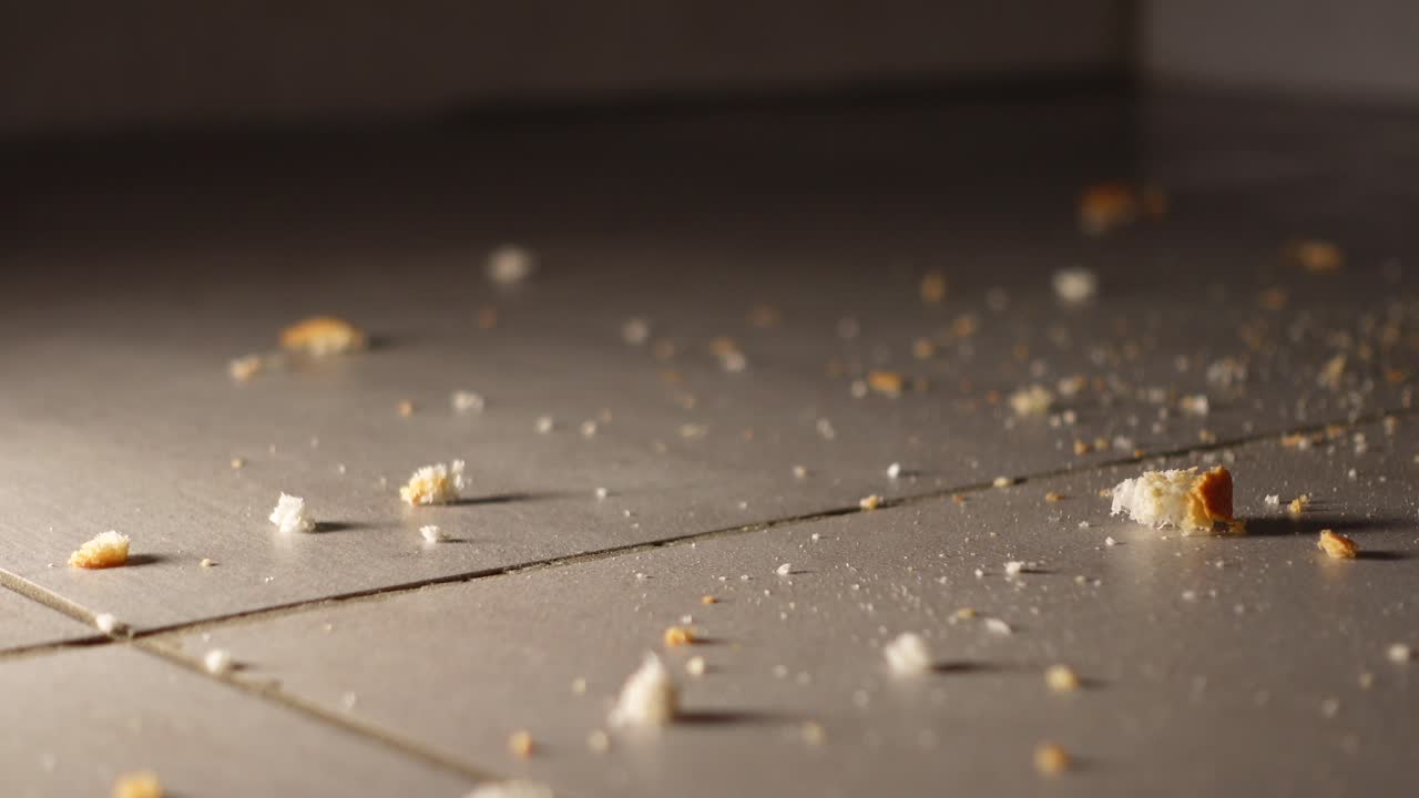 Bread Crumbs on Kitchen Floor