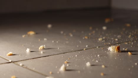bread crumbs on kitchen floor