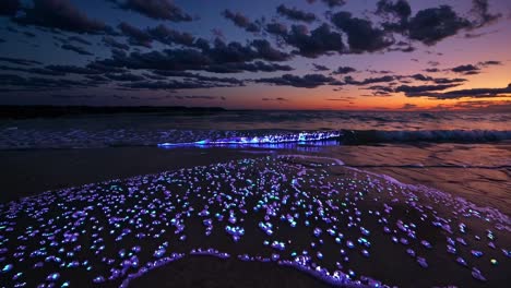 low-angle video capturing a serene beach at dusk, with glowing bioluminescent waves under a colorful