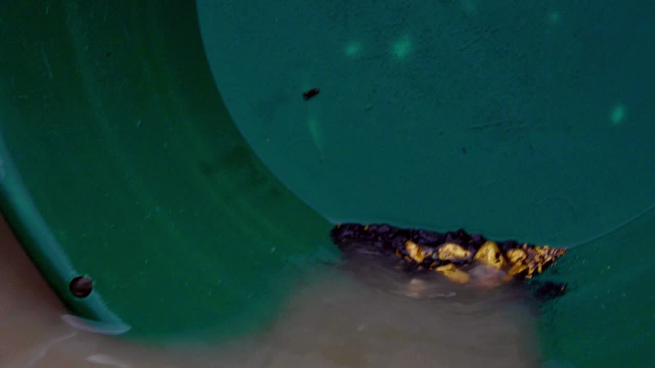 Gold panning and prospecting business success: brown murky water swirling over large golden nuggets in green trap pan, static close up portrait