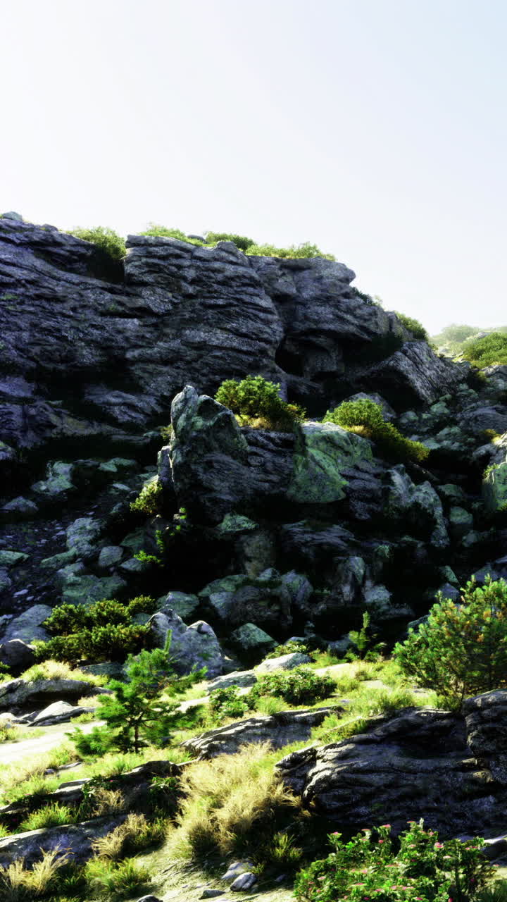 Collina rocciosa con vegetazione lussureggiante di giorno in un ambiente naturale