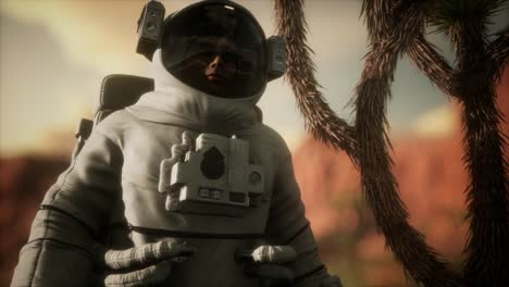 astronauta en el alto desierto de nevada