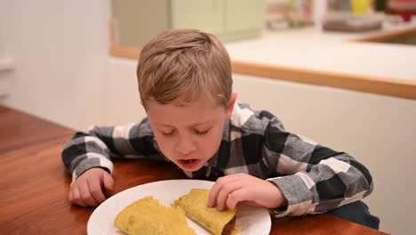 teddy eats his favorite taco meal