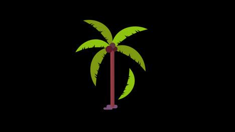 palm-tree-icon-loop-Animation-video-transparent-background-with-alpha-channel