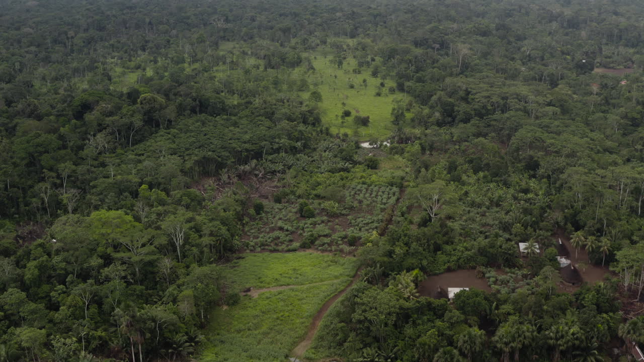 Aerial view of the Ecuadorian Amazon.