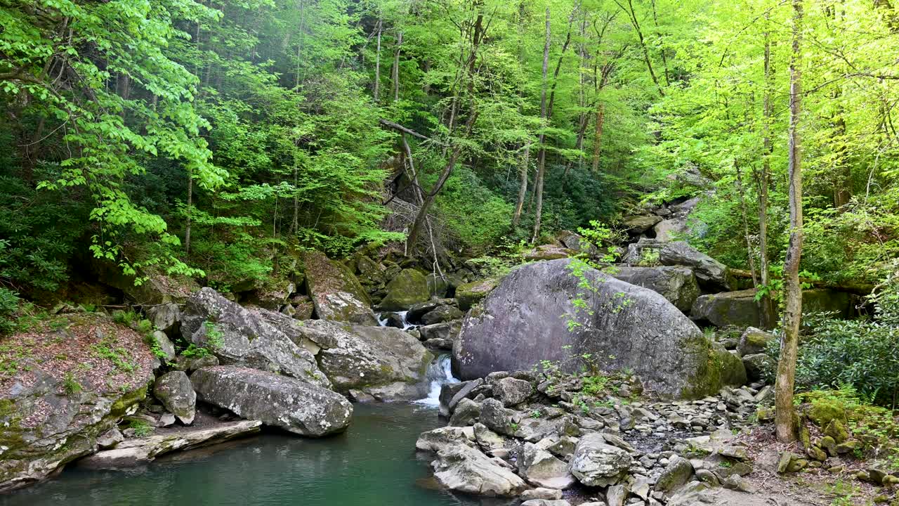 웨스트 버지니아 야생에서 작은 폭포가 있는 숲이 많은 강바닥