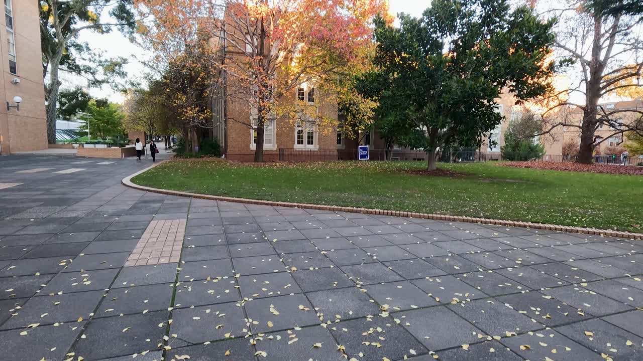 가을 잎자루 를 가진 공원 의 파노라마 풍경