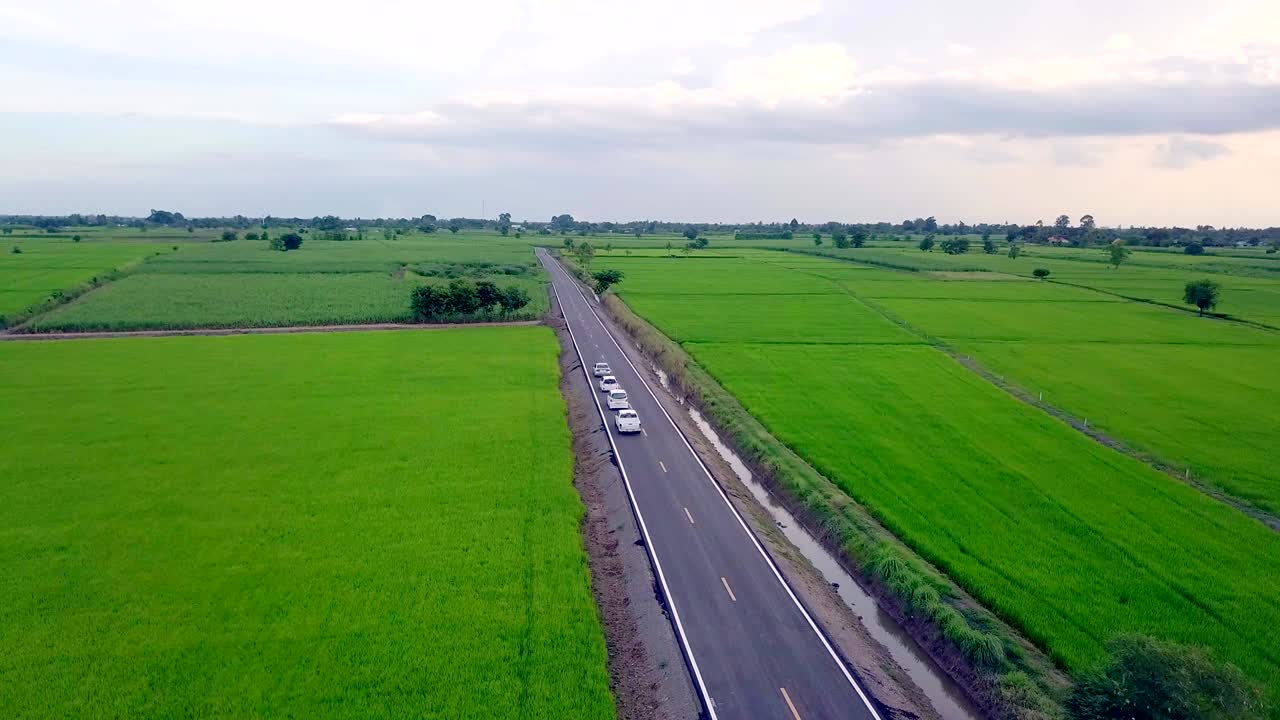 공중에서 볼 수 있는 시골 도로 녹색 농장