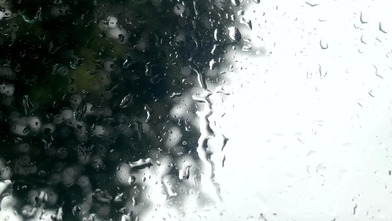 gotas frescas de lluvia cayendo sobre una ventana grande con un gran roble en el fondo durante el cierre