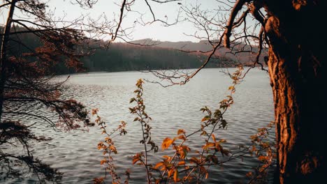 timelaps of a beautiful reservoir in germany-2