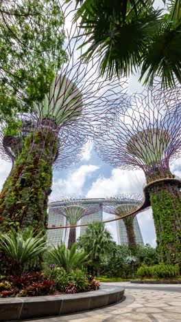 the gardens by the bay in singapore in vertical