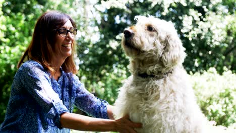 mature woman petting her dog in the garden 4k