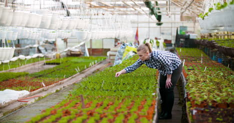 Joven-Mujer-Botánica-Examinando-Planta-En-Maceta-23