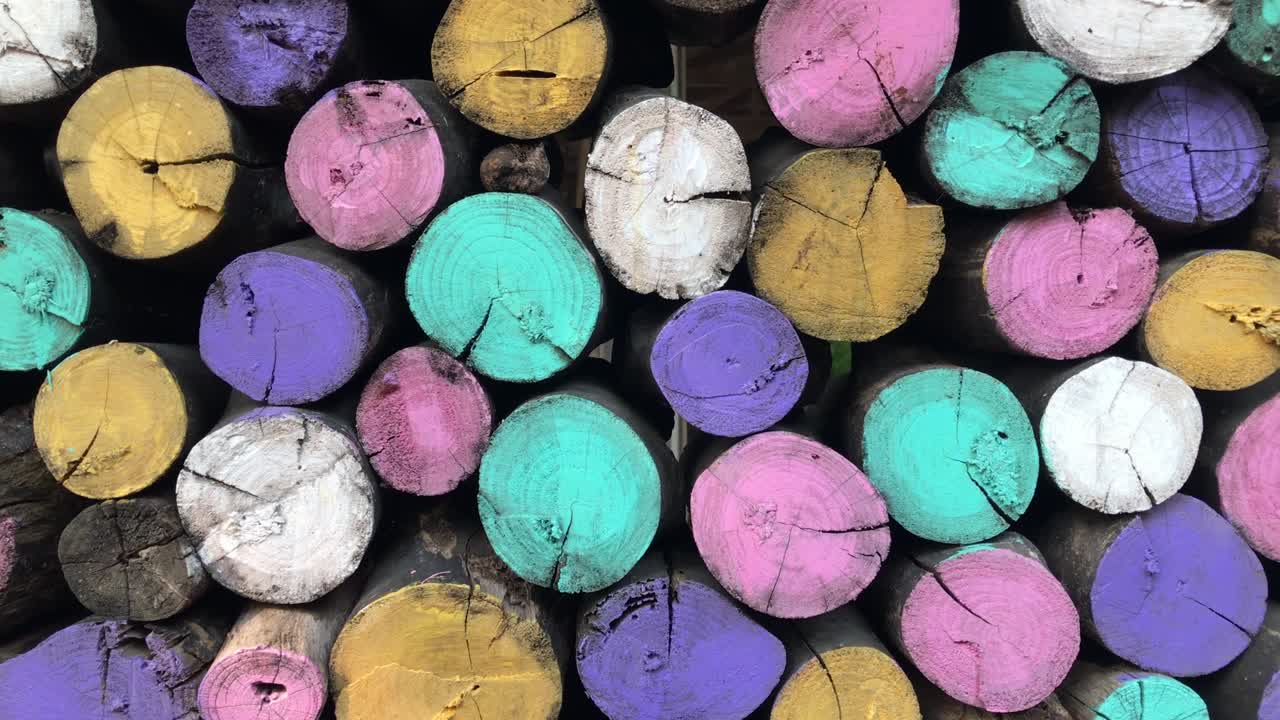 다채로운 나무 어리