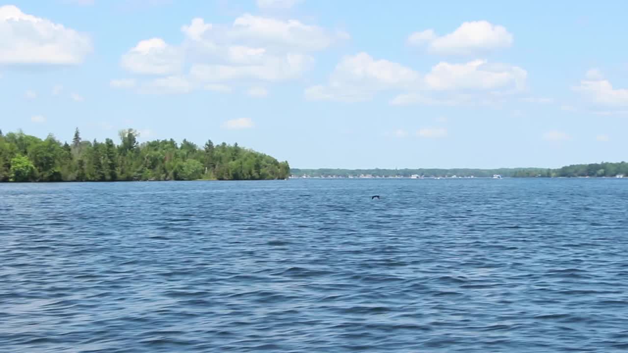 Bird Flying Over The Calm Blue Kawartha Lakes In Ontario, Canada - Beautiful Boating View - trucking shot