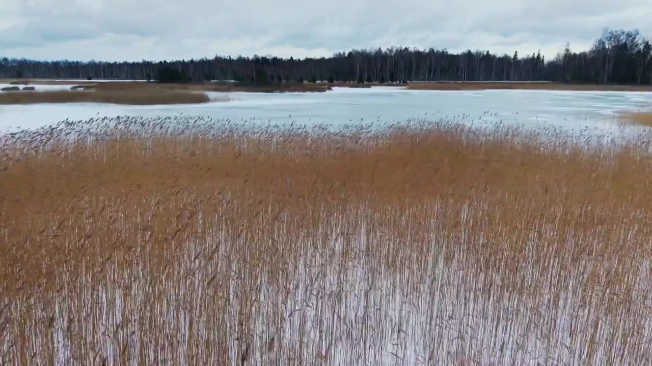 Drone glider til venstre, snedækkede siv grænser op til en frossen kystlinje, Kanieris-søen