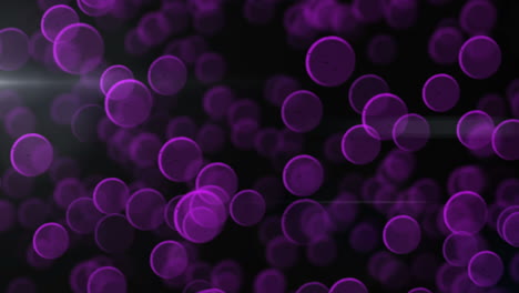 animation of purple bubbles