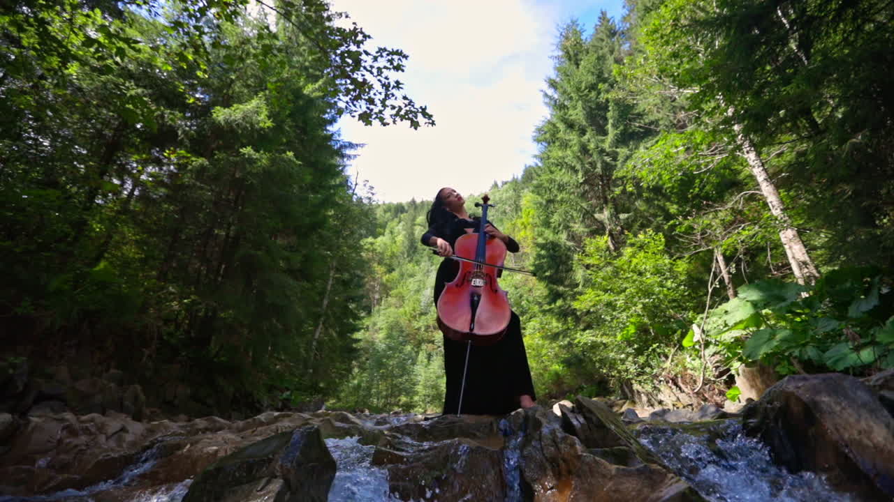 Beautiful woman playing cello. Beautiful young woman playing cello against mountain river