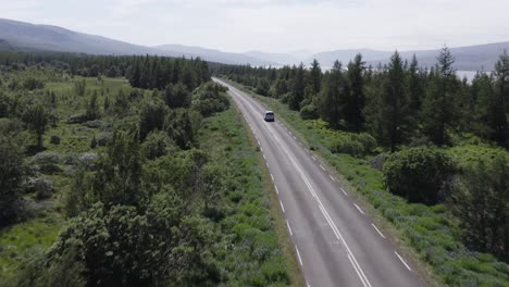 viaje por carretera a través de bosques verdes naturales en islandia, vegetación exuberante, antena