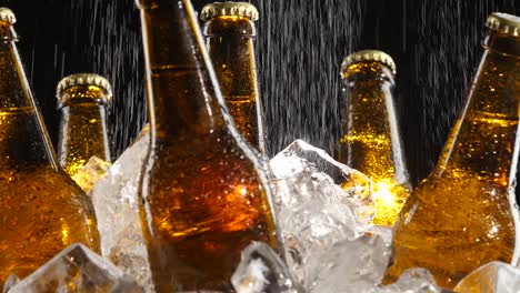 botellas de cerveza con hielo