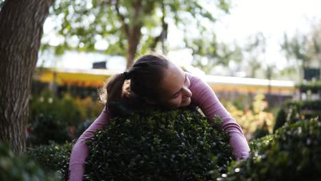 Young-female-florist-in-apron-embracing-green-boxwood-in-the-greenhouse.-Happy-woman-in-the-greenhouse-loves-buxus-and-her-job