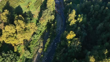 aerial drone view of a river in forest with mist at golden hour in morning, hill and mountain in background, tuscany, italy, europe