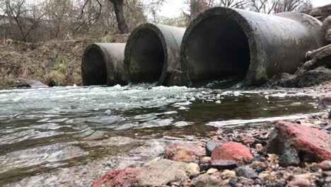 streams of water flow through concrete sewers. polluted body of water in the park. shooting from the water level.