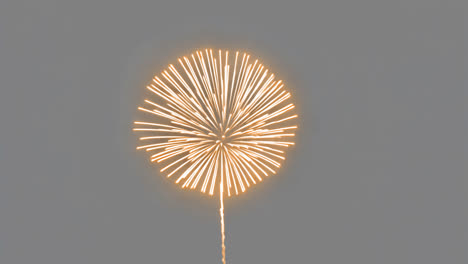 bright fireworks illuminate night animated overlay, transparent 4k video, alpha channel, prores 4444