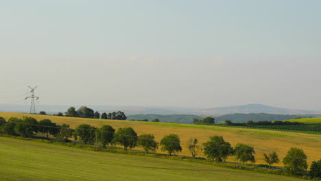 hilly landscape during a sunny day of a field of meadows and power poles