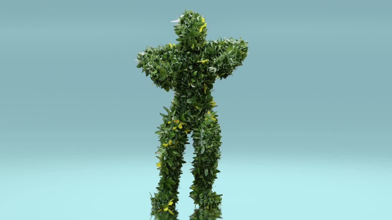 몬스터 댄스 클립: 고립된 식물 캐릭터,  댄스, 호키 포키, 3d 렌더링