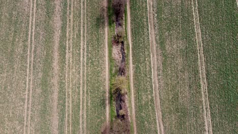 Vista-Aérea-De-Vuelo-De-Drones-Inversos-Sobre-Un-Pequeño-Arroyo-Con-Campos-Al-Lado