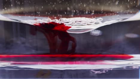 macro shot of a red ink bubble dripping in water