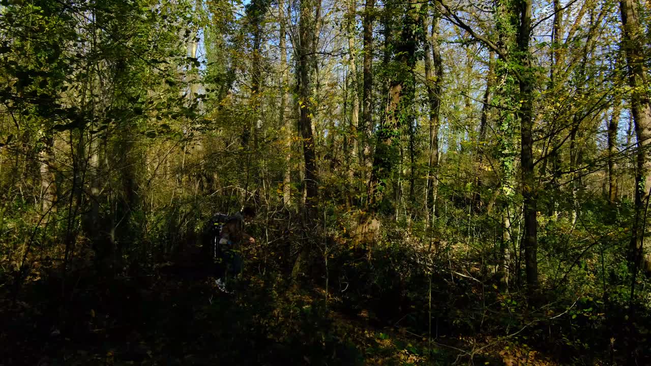 Campeggiatore cammina tra alberi e cespugli