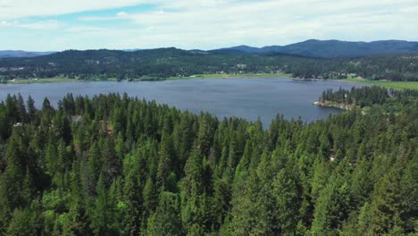 Ascendiendo-En-Un-Bosque-De-Pinos-En-El-Lago-Hauser-En-El-Norte-De-Idaho,-Ee.uu.