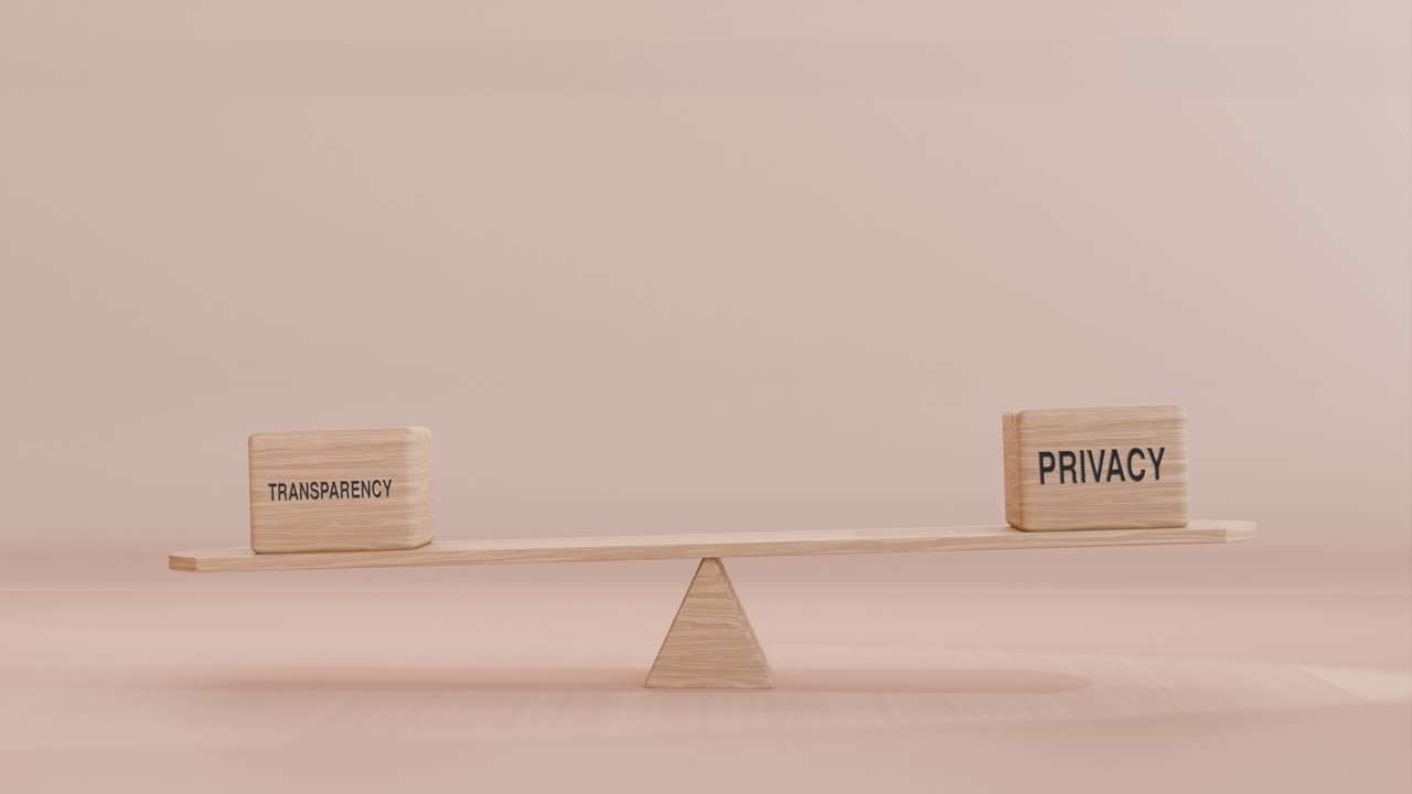 투명성과 프라이버시 균형을 잡는 소
