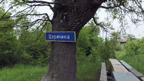 aproximación a un árbol en el pueblo de chisinau, conocido por algunas actividades paranormales relacionadas con seres extraterrestres en bulgaria.