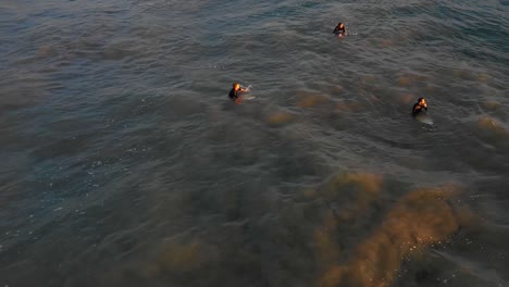 surfers waiting for waves, la