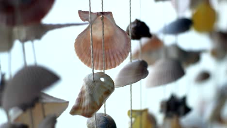 mobile shell hanging on the blurred nature background