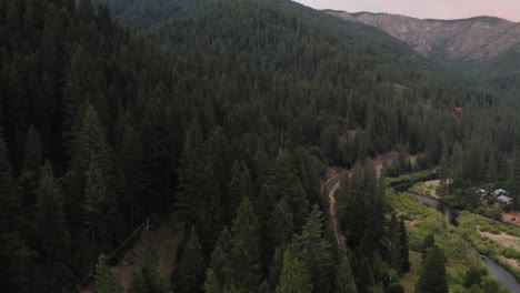 Antena-De-Bosque-De-Pinos-En-La-Ladera-De-La-Montaña-En-América