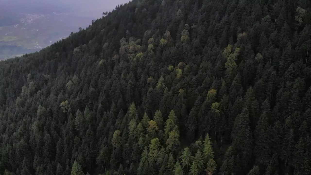 Vista aerea di boschi sul retro della città tra le montagne